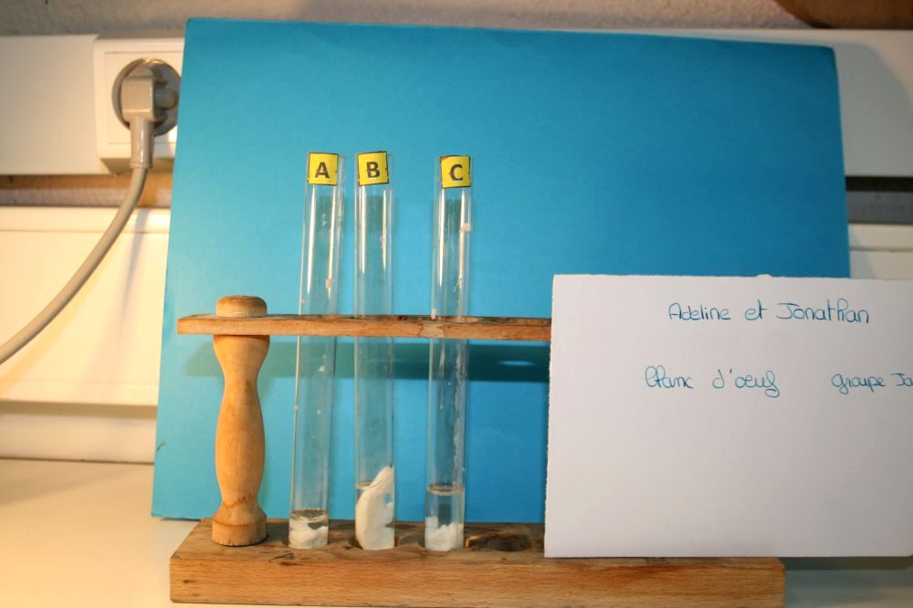 gal/LES_CINQUIEMES/ACTIVITE DIGESTION IN VITRO/Groupe_02/Groupe02_T_00h00min/Groupe02_temps__H__min_1.jpg